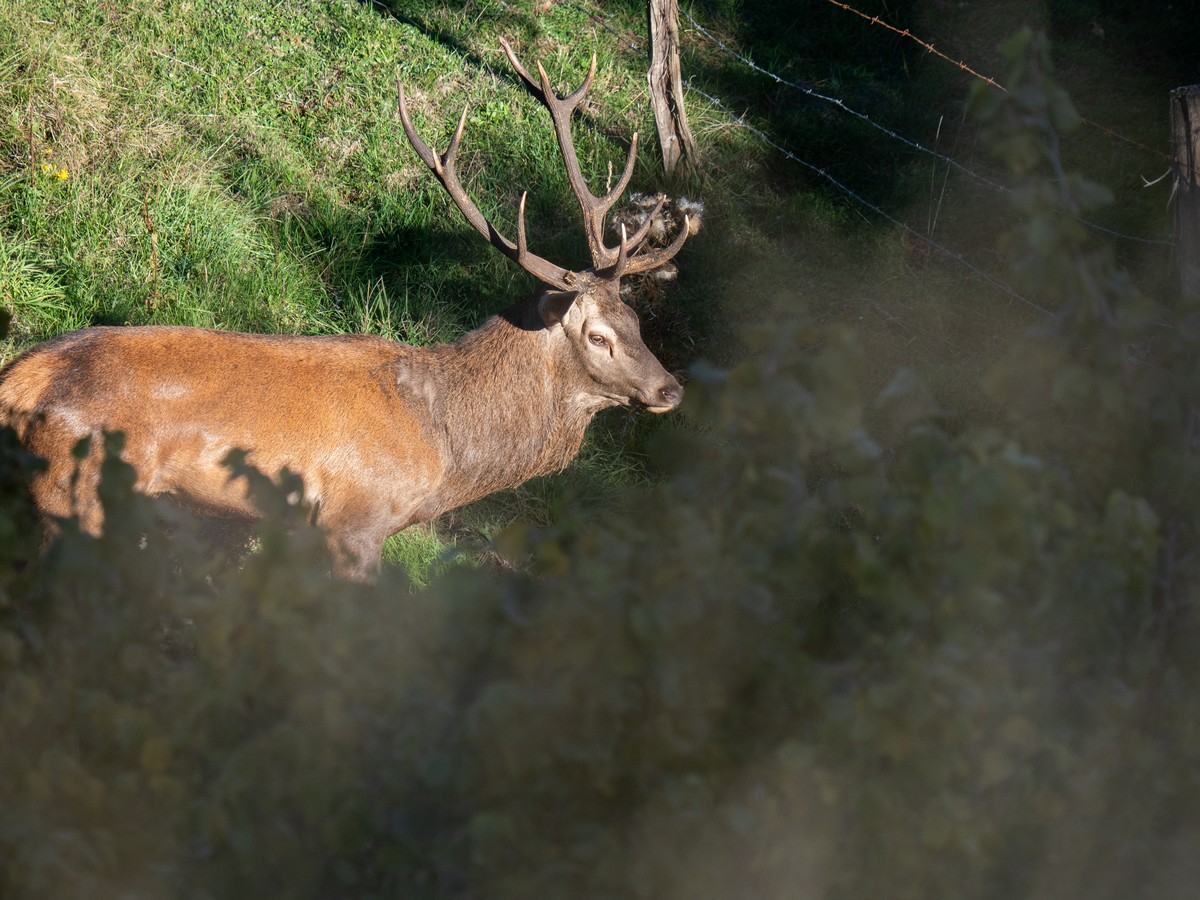 06102025-06 10 25 (23).jpg